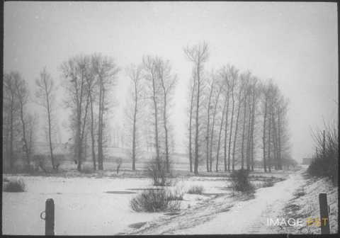 Paysage enneigé (Blainville-sur-l'Eau)