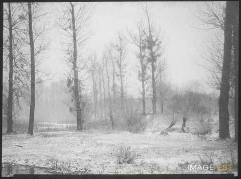 Paysage enneigé (Blainville-sur-l'Eau)