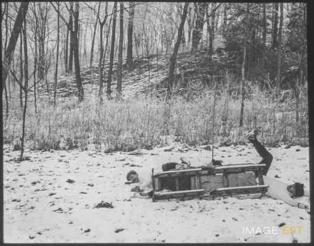 Chute de bobsleigh (Malzéville)