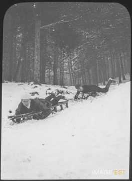 Hommes en luge (Malzéville)