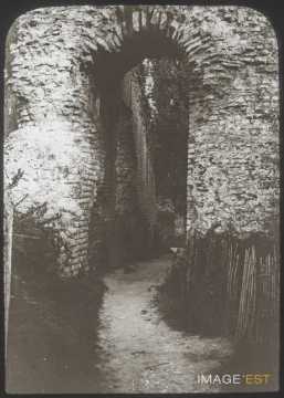 Vestiges gallo-romains (Saintes)