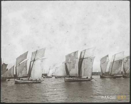 Bateaux de pêche (Granville)