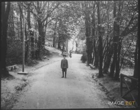 Allée d'arbres (Bagnoles-de-l'Orne)
