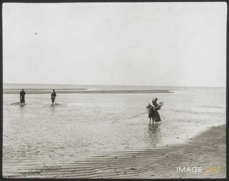 Pêcheuses de crevettes (Courseulles-sur-Mer)
