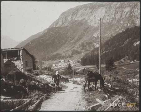 Route de campagne