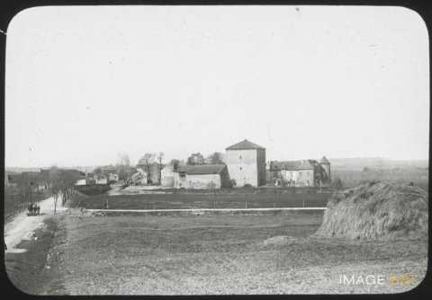 Château (Port-sur-Seille)