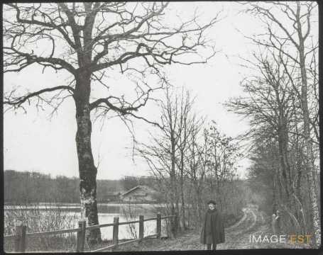 Étang (Brin-sur-Seille)