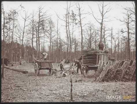 Bûcherons (Blainville-sur-l'Eau)