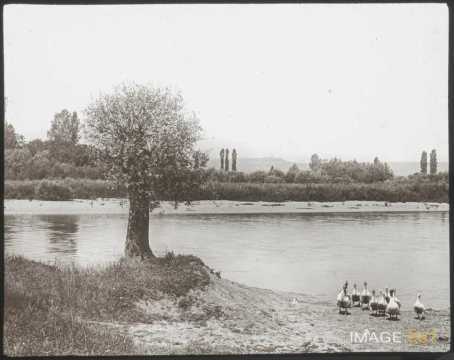 La Moselle (Champey-sur-Moselle)