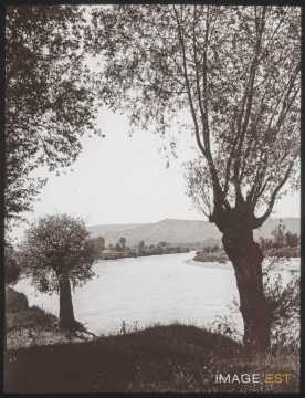 La Moselle (Champey-sur-Moselle)