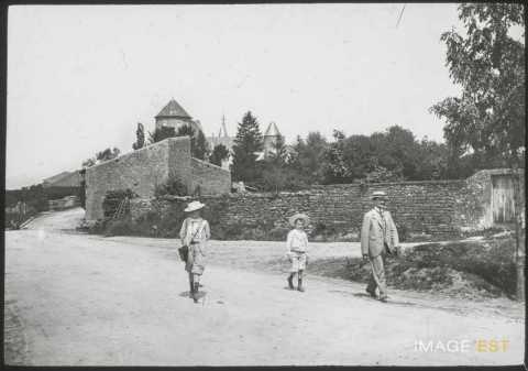Promeneurs (Manonville)