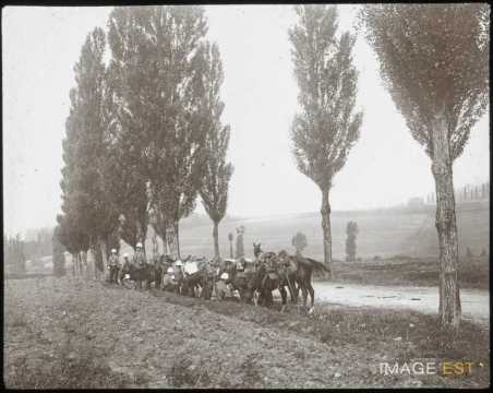 Hussards (Meurthe-et-Moselle)