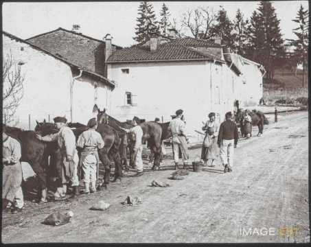 Pansage de chevaux (Ville-sur-Illon ?)