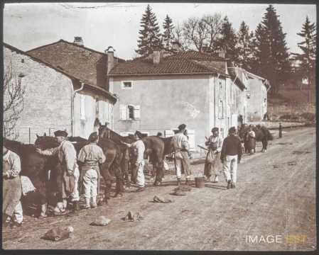 Pansage de chevaux (Ville-sur-Illon ?)