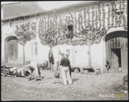 Militaire cuisinant en plein air (Ville-sur-Illon ?)