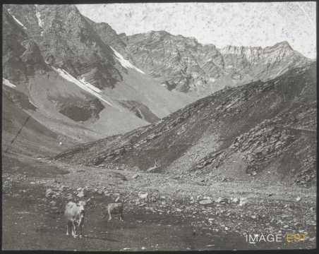 Massif de montagnes (Savoie)