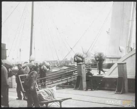 Déchargement de navire (Anvers)