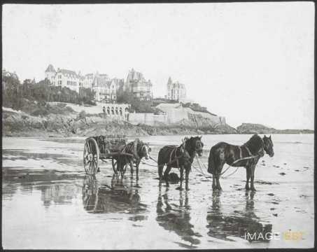 Récolte de varech (Dinard)