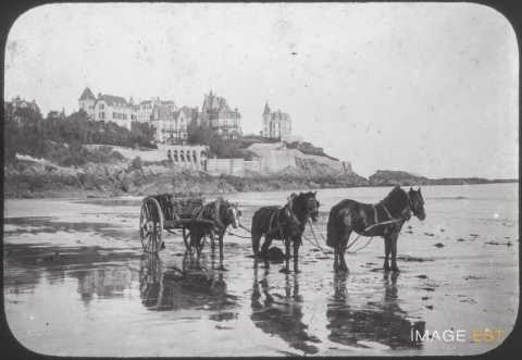 Récolte de varech (Dinard)