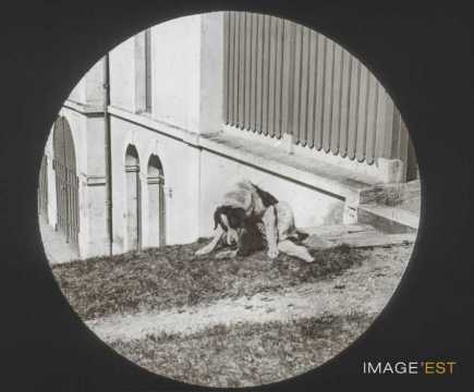 Chien (Malzéville)