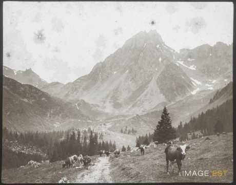 Vallée du Beaufortain (Beaufort)