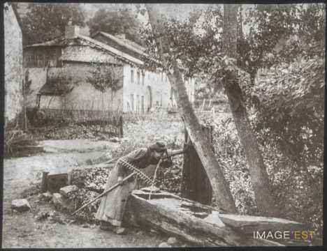 Femme buvant (Lusse)