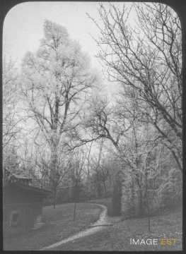 Parc de Val-au-Mont (Malzéville)
