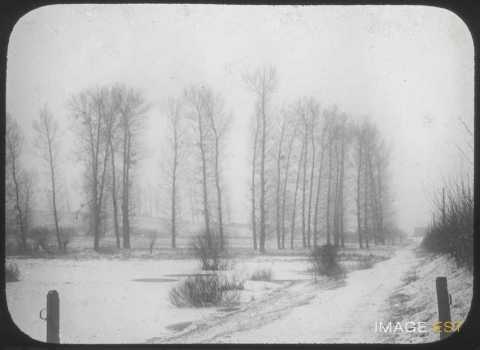 Étude de neige (Blainville-sur-l'Eau)