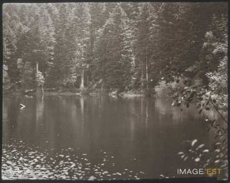 Lac de la Maix (Vexaincourt)