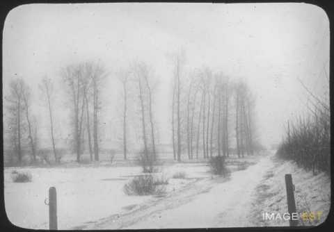 Paysage d'hiver (Blainville-sur-l'Eau)