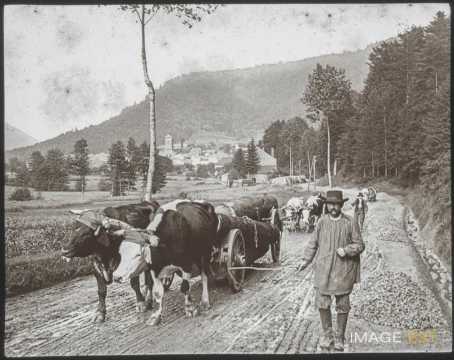 Transport de bois (Allarmont)