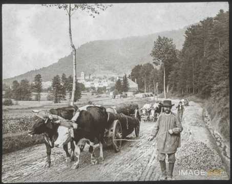 Transport de bois (Allarmont)