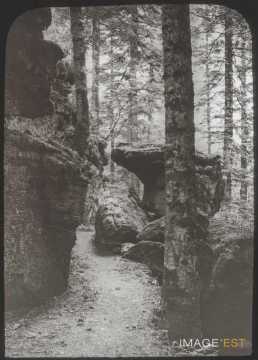Roche des Corbeaux (Raon-l'Étape)