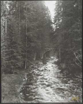 Pont des Fées (Gérardmer)