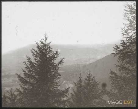 Vallée du Rabodeau (Étival-Clairefontaine)