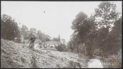 Fenaison (Lusse)