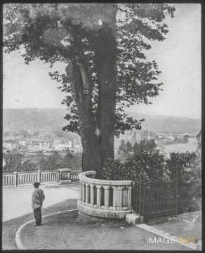 Chemin de promenade (Jurançon)