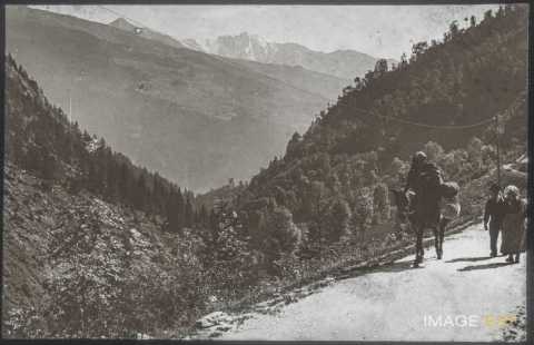 Route de campagne (Bourg-Saint-Maurice)