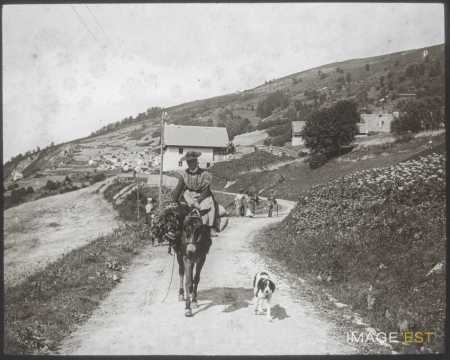 Homme sur une mule (Valloire)