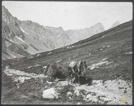Transport de foin (Valloire)