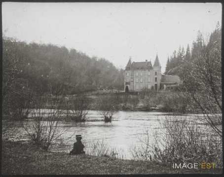 Château de la Flie (Liverdun)
