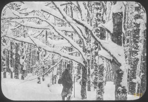 Homme dans la neige (Nancy)