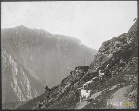 Col du Riou (Cauterets)