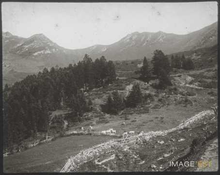 Col du Riou (Cauterets)