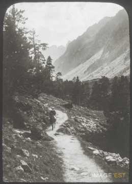 Chemin (Cauterets)