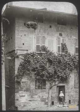 Maison des Chanonges (Embrun)