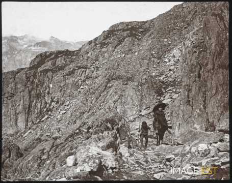Sentier de montagne (Chamonix)