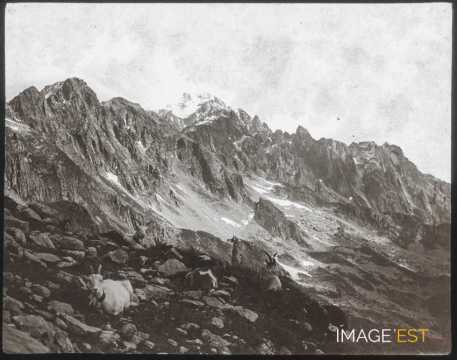 Chaîne des Aiguilles Rouges (Chamonix)