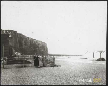Falaises (Le Tréport)