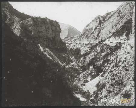 Paysage vallonné (Saint-André-les-Alpes)